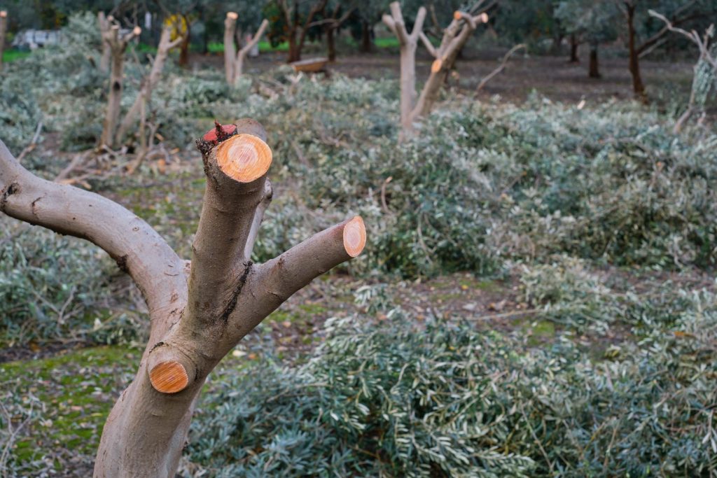 cómo se realiza el reciclaje de madera