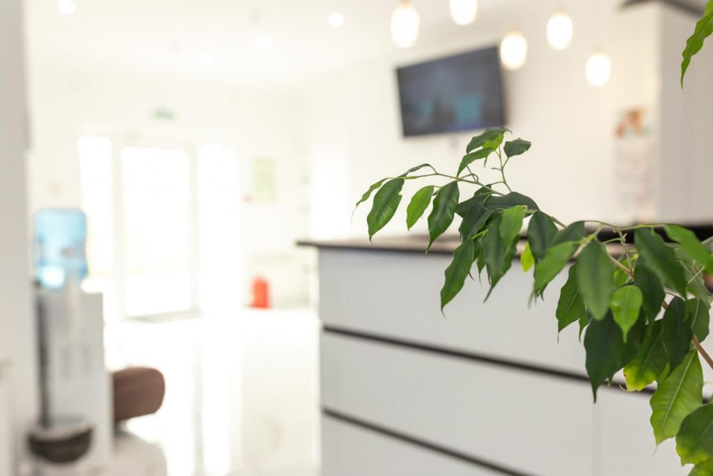Cómo influyen las plantas en una clínica dental