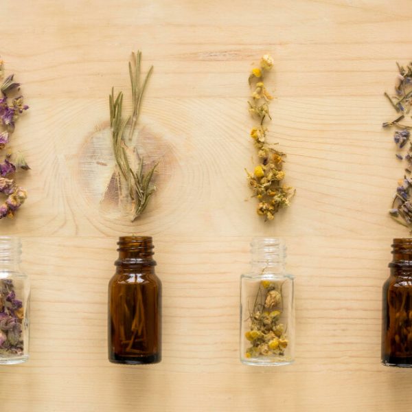 Plantas medicinales para dormir mejor