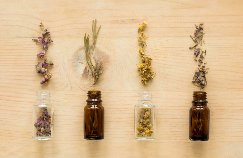 Plantas medicinales para dormir mejor