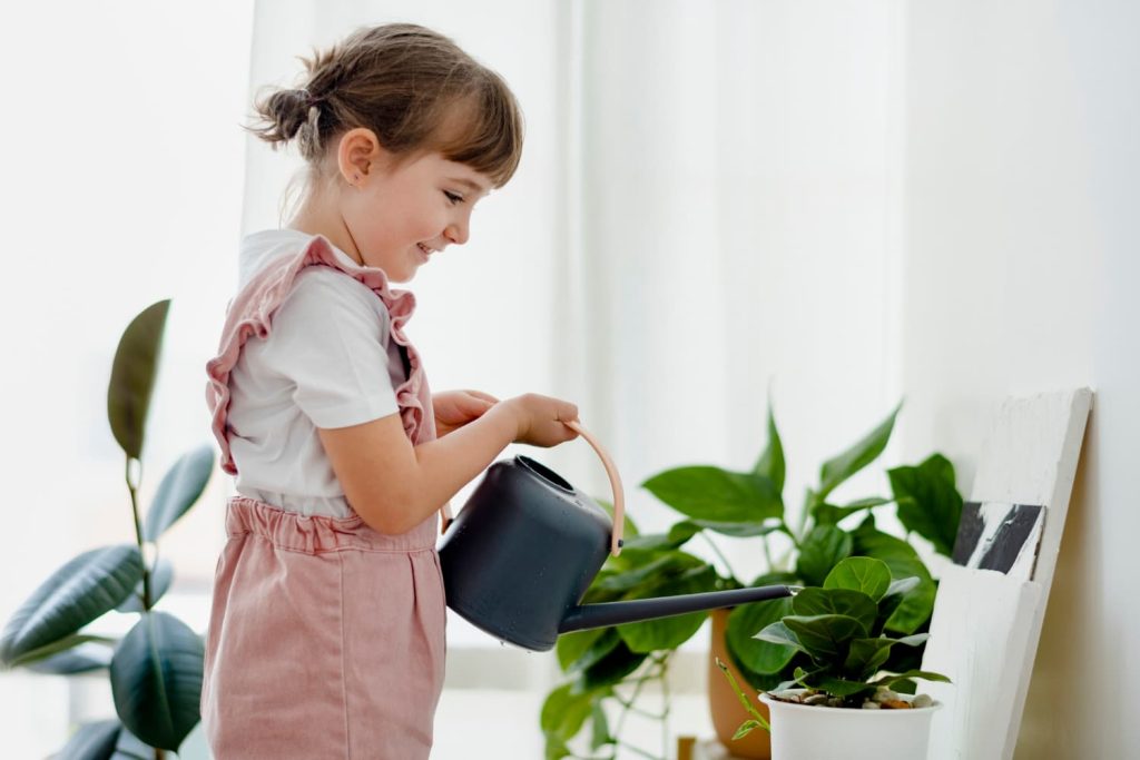 plantas autismo