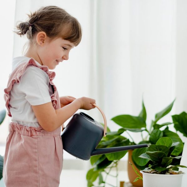 plantas autismo