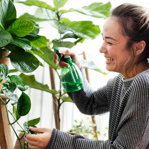 plantas pueden escuchar